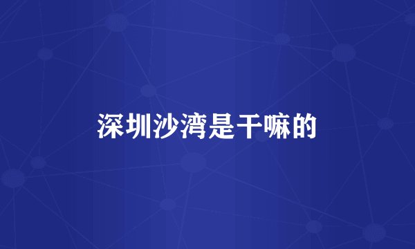 深圳沙湾是干嘛的
