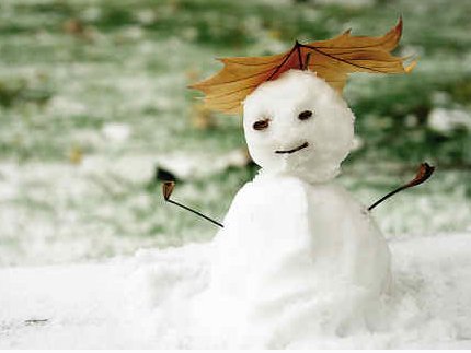 安徽暴雪已致4人死亡了吗?