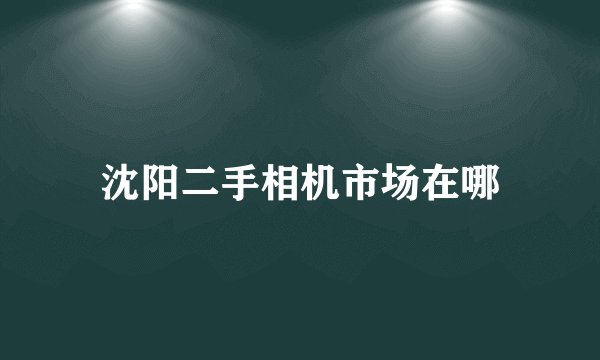 沈阳二手相机市场在哪