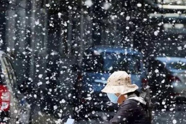 落打飘造句二年级上册