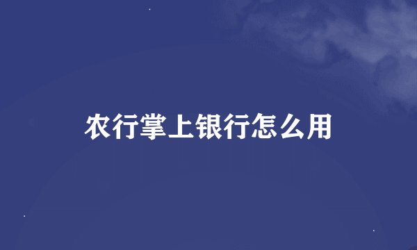 农行掌上银行怎么用