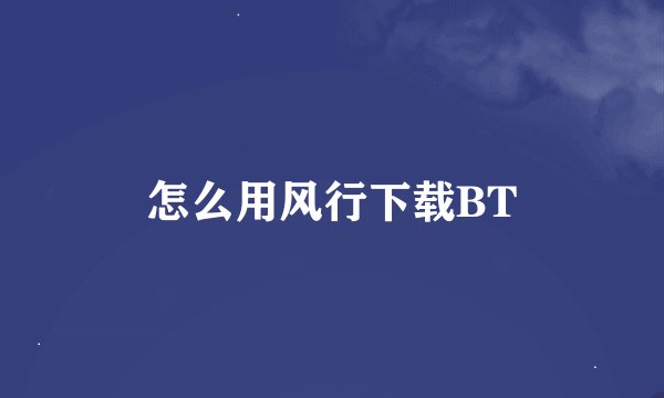 怎么用风行下载BT