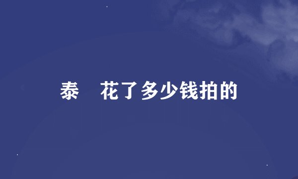 泰囧花了多少钱拍的