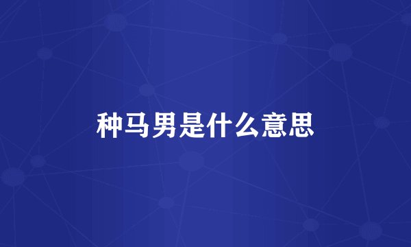 种马男是什么意思