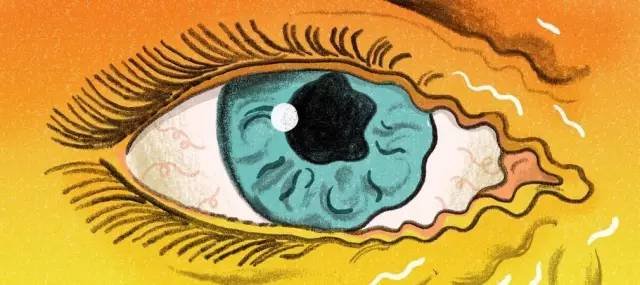 于欢案发布新的审判结果。如果你是于欢，案件发生时你会怎么做呢？