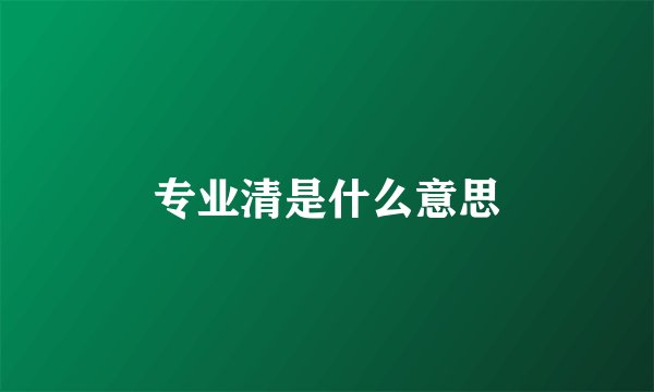 专业清是什么意思
