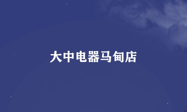 大中电器马甸店