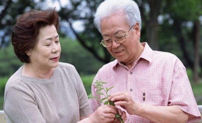 共话桑榆情是什么意思