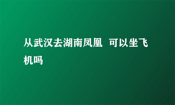 从武汉去湖南凤凰 可以坐飞机吗