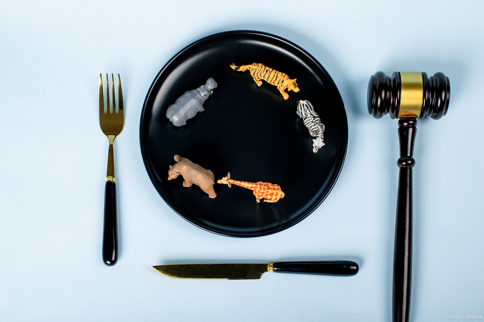 健康促进法具体实施时间