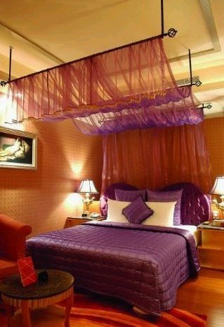 绝色公寓的内容简介