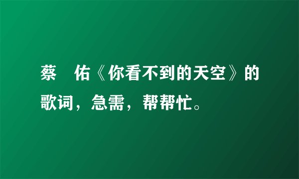 蔡旻佑《你看不到的天空》的歌词，急需，帮帮忙。