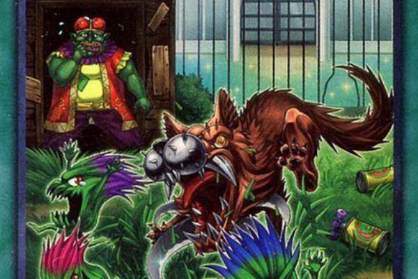 游戏王十大最强卡组