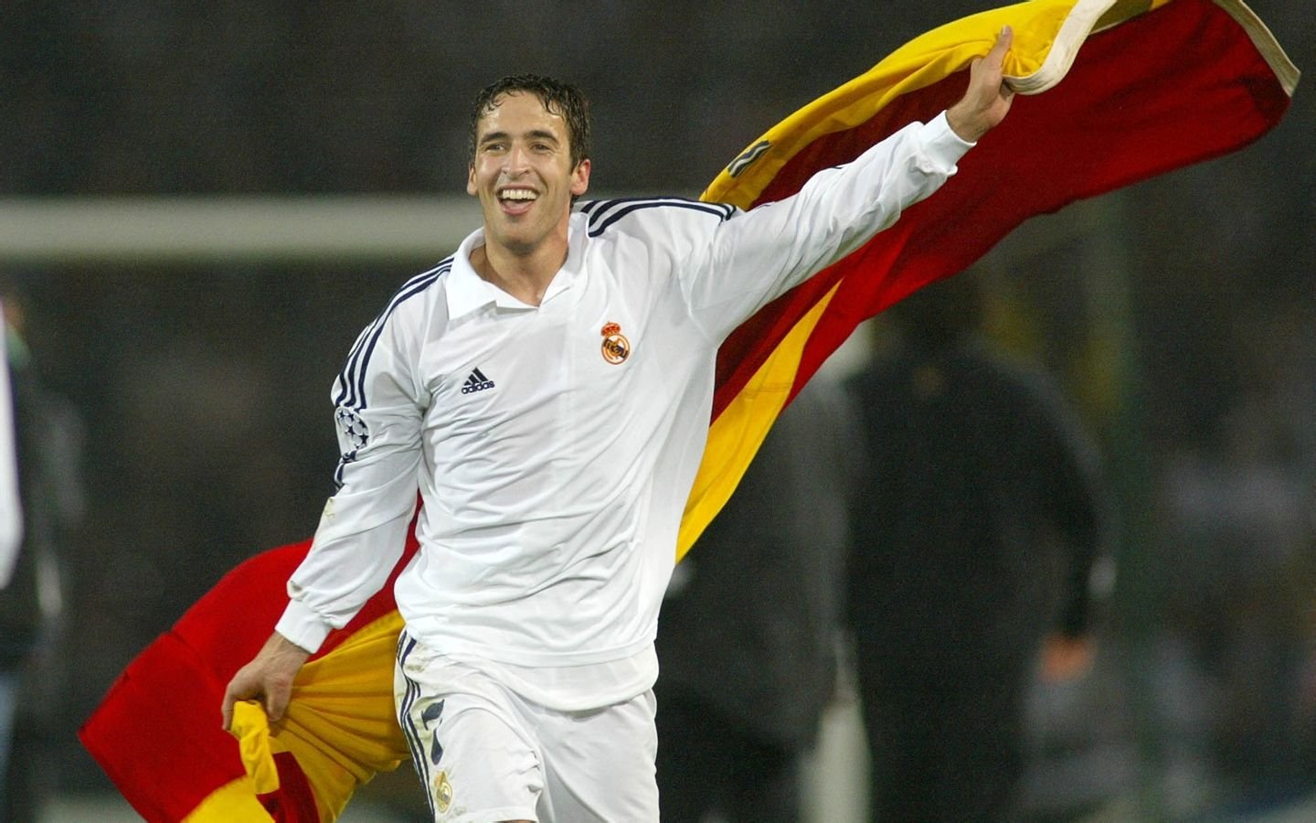 求劳尔斗牛舞壁纸