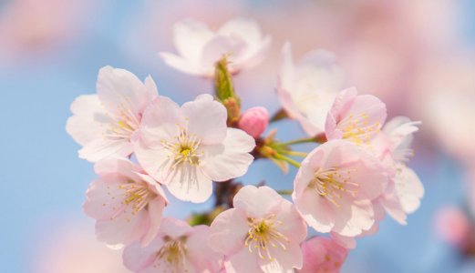 成熟男人网名招财