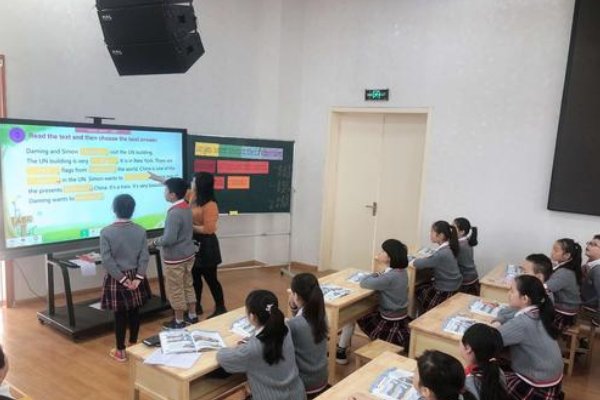 chips可数还是不可数