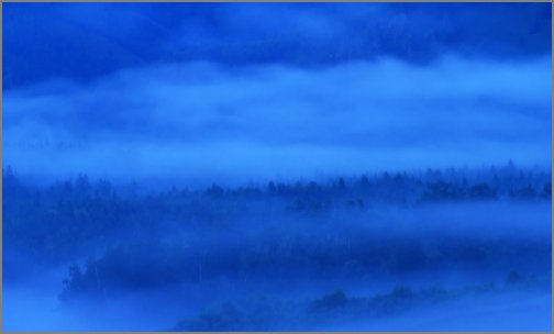 face time是什么意思?