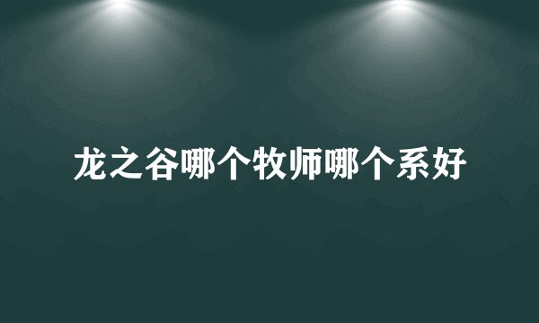 龙之谷哪个牧师哪个系好