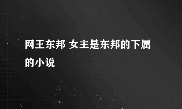 网王东邦 女主是东邦的下属的小说