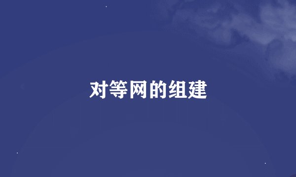 对等网的组建