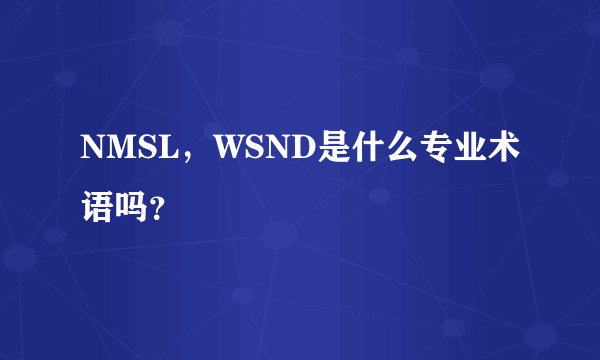 NMSL，WSND是什么专业术语吗？