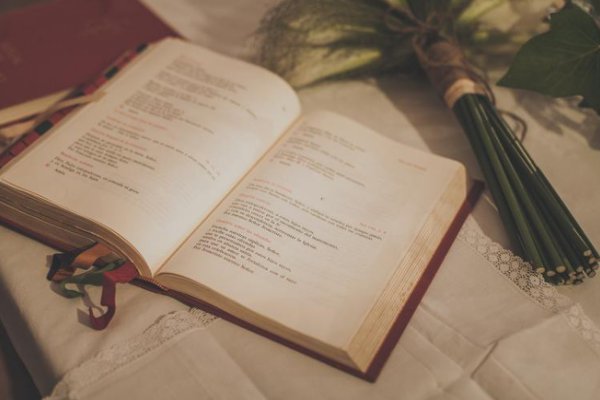 chips可数还是不可数