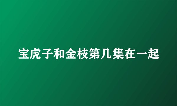 宝虎子和金枝第几集在一起