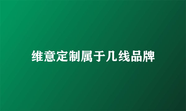 维意定制属于几线品牌