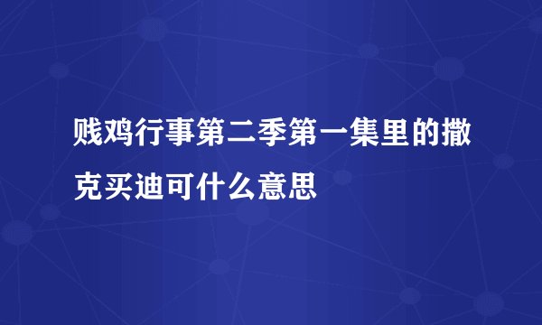 贱鸡行事第二季第一集里的撒克买迪可什么意思