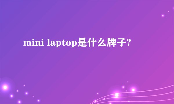 mini laptop是什么牌子?