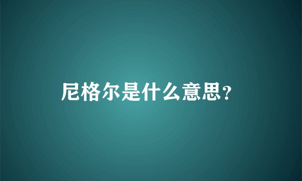尼格尔是什么意思？