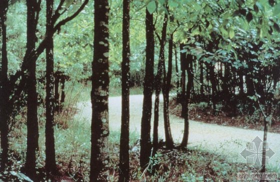 克劳斯比的基本信息