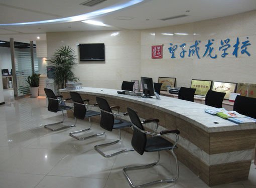 望子成龙的简介