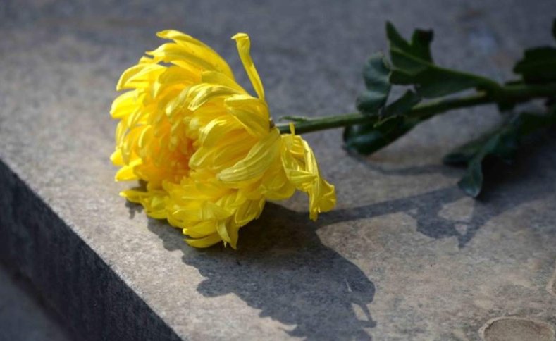 月亮思念已故亲人的短句