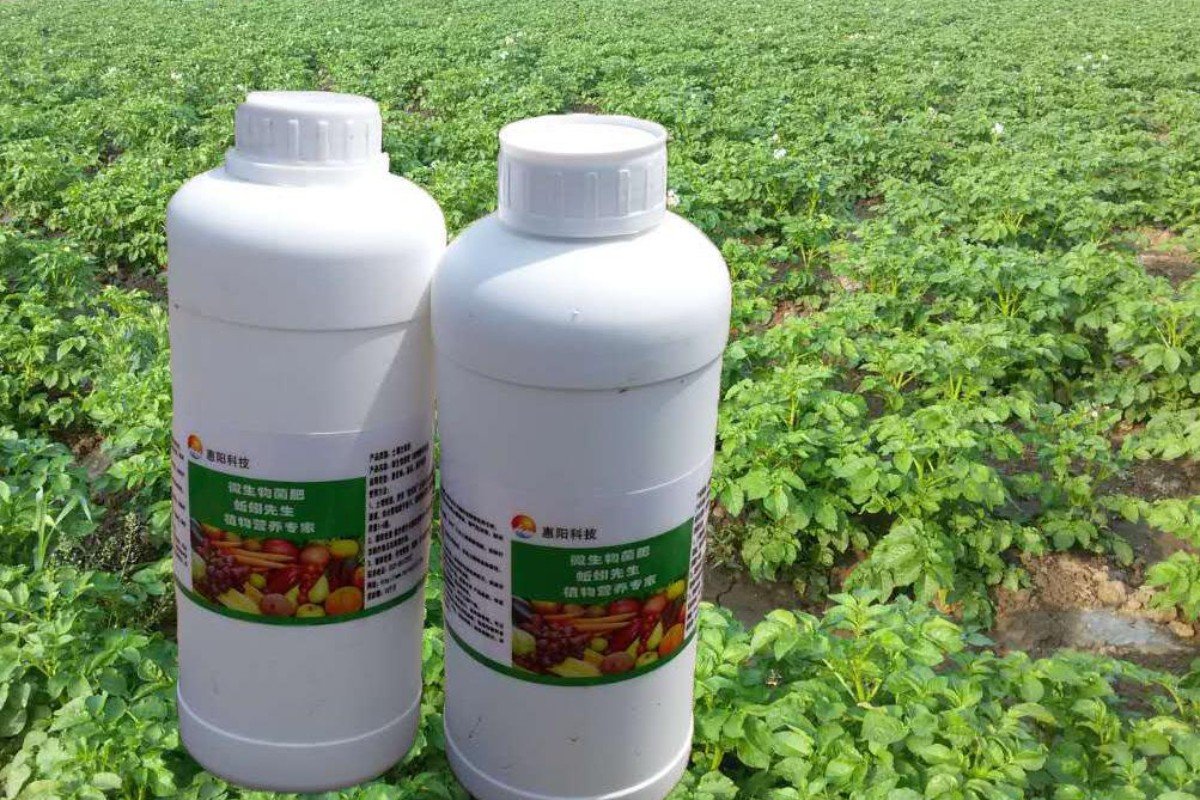 排名前十的微生物菌肥