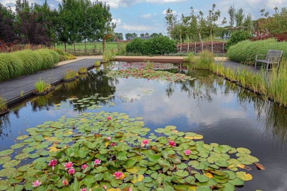 ponds是什么意思