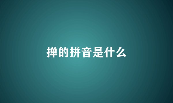掸的拼音是什么