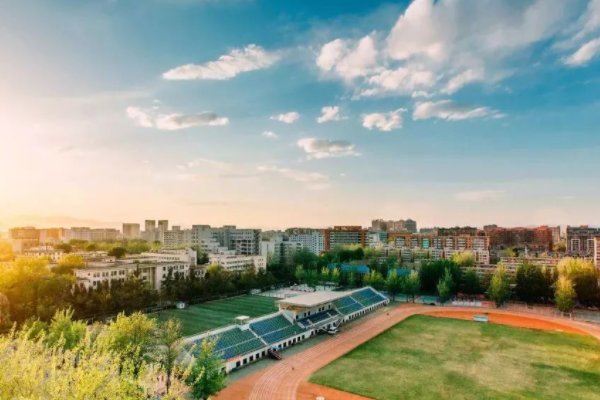 1本2本3本的区别是什么