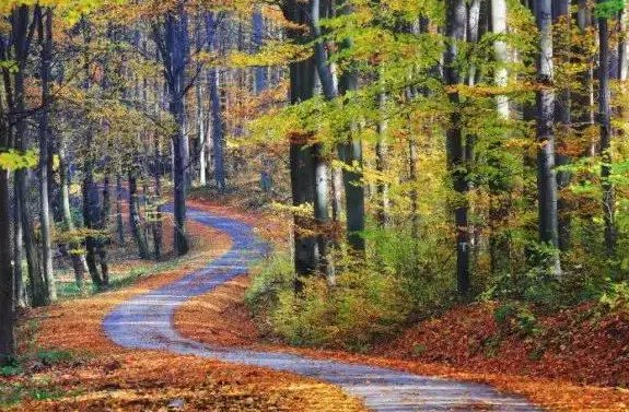 什么的小路怎么填空？