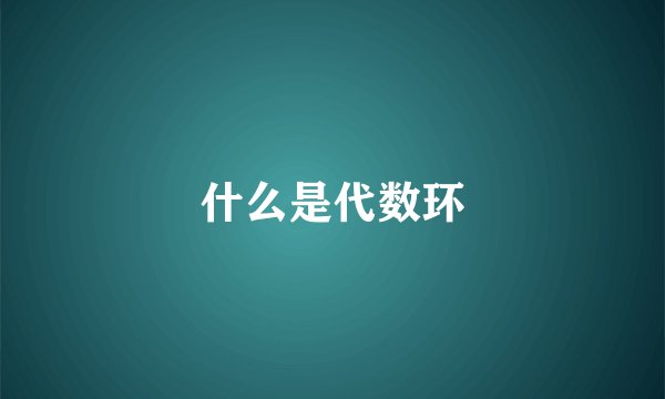什么是代数环