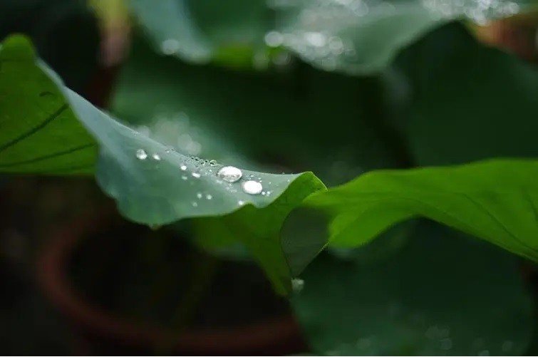 电脑屏幕怎么调整亮度和对比度呢