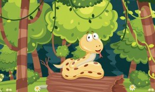 七步蛇是哪种蛇 七步蛇是哪种蛇图片