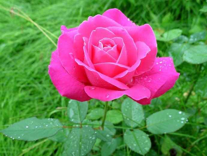 我们广州有个古语。越穷越见鬼。求破解。