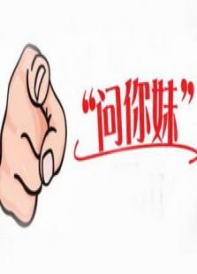 问你妹的游戏简介