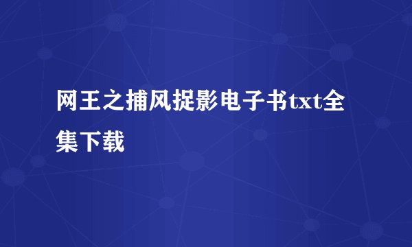 网王之捕风捉影电子书txt全集下载