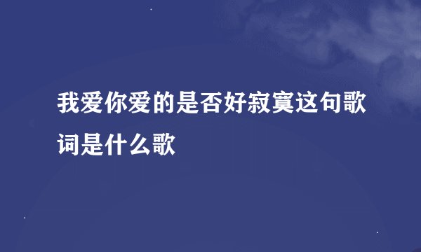 我爱你爱的是否好寂寞这句歌词是什么歌