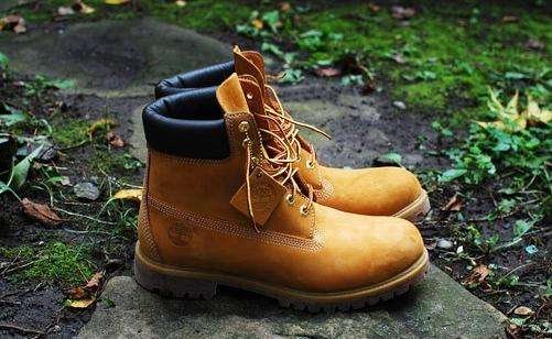 带一棵树标志的户外品牌叫什么名字?