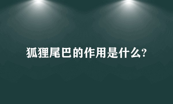 狐狸尾巴的作用是什么?