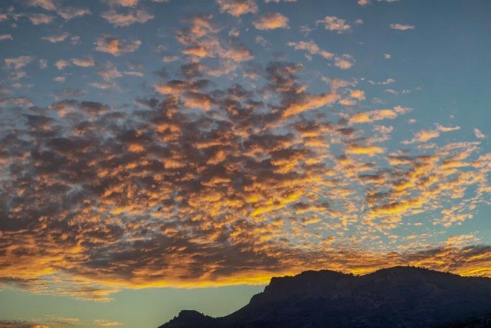 粉饰是词还是短语