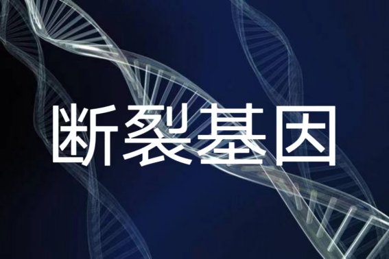 断裂基因的名词解释